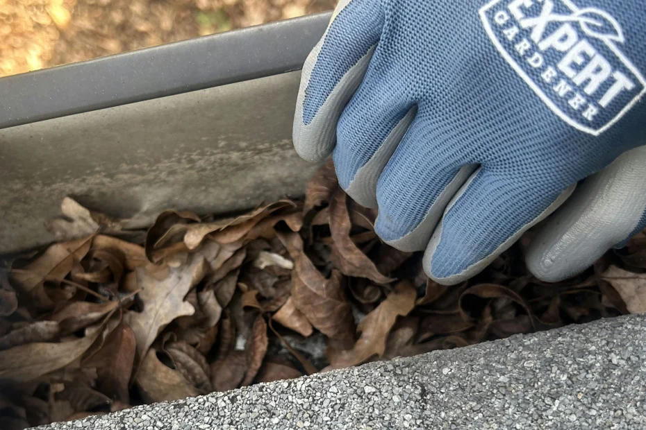 Gutter Cleaning Red Springs