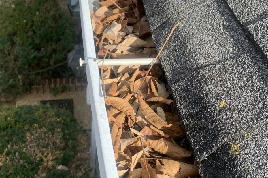 Gutter Cleaning Red Springs