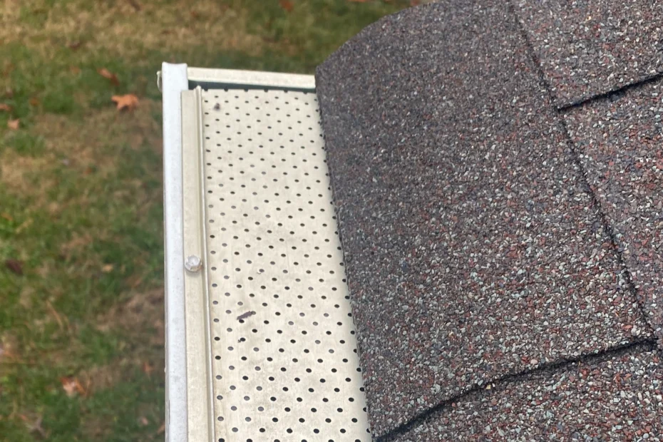 Gutter Cleaning Red Springs