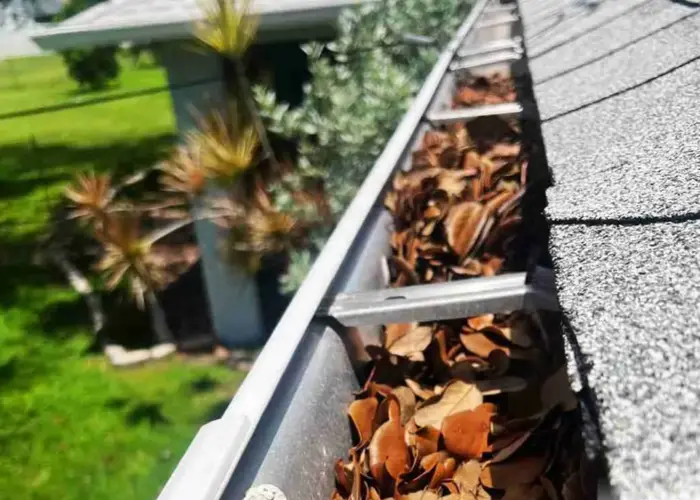 Gutter Cleaning Red Springs home page